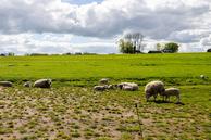 Foto van Hogedijk 10, Aarlanderveen