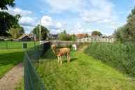 Historische woningfoto van Marten Michielshof 45, De Rijp uit 2024