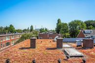 Historische woningfoto van Zegenstraat 84, Rotterdam uit 2024