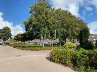 Historische woningfoto van De Leeuw 47, Harlingen uit 2025
