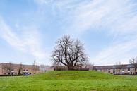 Historische woningfoto van Terpeborch 68, Rosmalen uit 2025