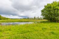 Foto van Skûtsje 47, Gorredijk
