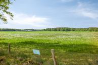 Foto van Lossersedijk 3, De Lutte