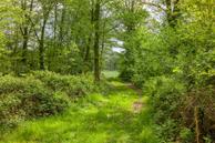 Foto van Lossersedijk 3, De Lutte