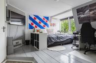 Foto van Hegedyk 60, Langezwaag