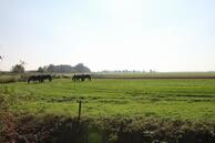 Foto van Kraenlânswei 22, De Veenhoop