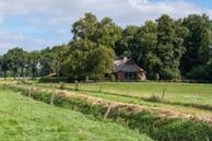 Foto van Zuidesch 5, Lieveren