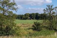Foto van Zuidesch 5, Lieveren