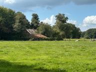 Foto van Zuidesch 5, Lieveren