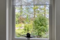 Foto van Witteweg 33, Langeveen