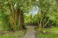 Foto van Witteweg 33, Langeveen