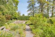 Foto van Witteweg 33, Langeveen