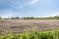 Foto van Witteweg 33, Langeveen