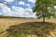 Foto van Breeberchspaed 3, Wijnjewoude