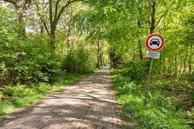 Foto van Breeberchspaed 3, Wijnjewoude