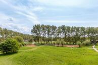 Foto van Torp 36, Den Helder