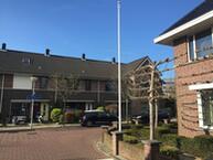 Historische woningfoto van Vrouwe Van Loonstraat 51, Maasdijk uit 2020