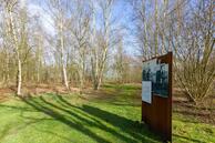Foto van Steigerwijk 42, Dalerpeel