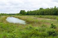 Foto van Steigerwijk 42, Dalerpeel