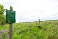Foto van Steigerwijk 42, Dalerpeel