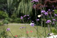 Foto van Burgemeester Lepelaarssingel 74, Krimpen aan den IJssel