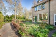 Foto van Riet 1, Barendrecht