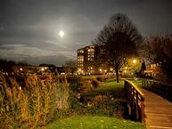 Historische woningfoto van Erasmuspark 116, Ridderkerk uit 2023