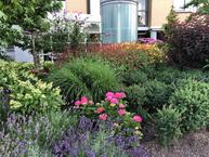 Historische woningfoto van Erasmuspark 116, Ridderkerk uit 2023