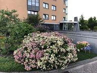 Historische woningfoto van Erasmuspark 116, Ridderkerk uit 2023