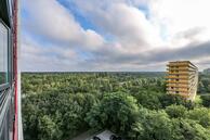 Historische woningfoto van Laan van Vollenhove 528, Zeist uit 2021