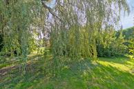 Historische woningfoto van Havenweg 16, Nieuwdorp uit 2024