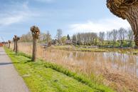 Foto van Land van Horn 6, Emmeloord