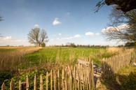 Foto van Calfven 91, Ossendrecht